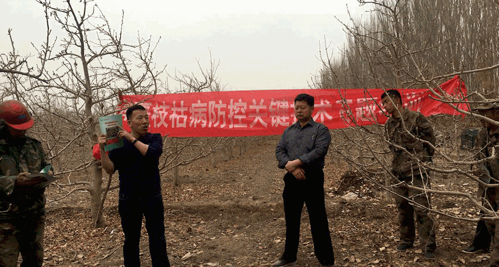 9a6ebb8a81b546f0bbaa4683e76cd5b8.gif