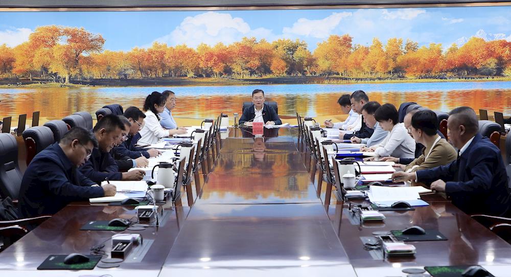 十二届师市党委常委会召开会议 传达学习贯彻习近平总书记重要讲话重要致信精神